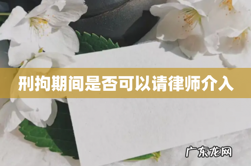 刑拘期间是否可以请律师介入
