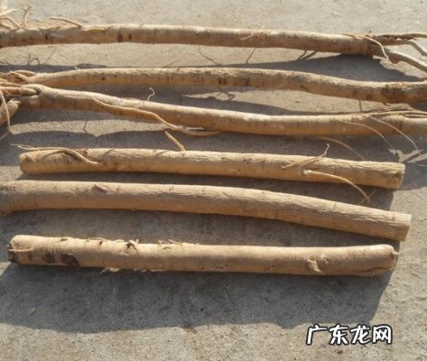 甘肃最有名的特产是什么 甘肃特产有哪些