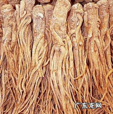 甘肃最有名的特产是什么 甘肃特产有哪些