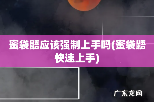 蜜袋鼯快速上手 蜜袋鼯应该强制上手吗