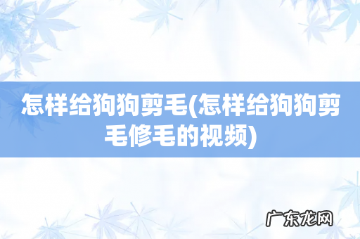 怎样给狗狗剪毛修毛的视频 怎样给狗狗剪毛