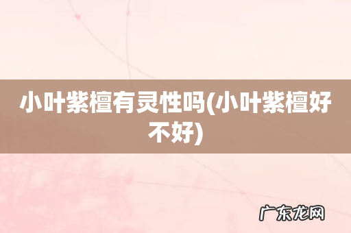 小叶紫檀好不好 小叶紫檀有灵性吗