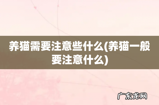 养猫一般要注意什么 养猫需要注意些什么