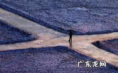 阝字旁的字 辶字旁的字