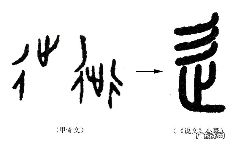 阝字旁的字 辶字旁的字