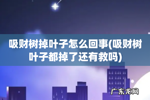 吸财树叶子都掉了还有救吗 吸财树掉叶子怎么回事