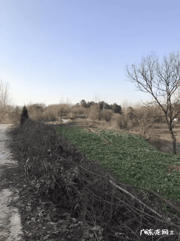 南方万年历安卓版 风水万年历安卓版