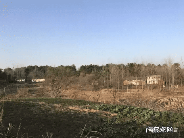 南方万年历安卓版 风水万年历安卓版