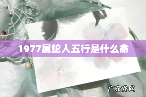 1977属蛇人五行是什么命