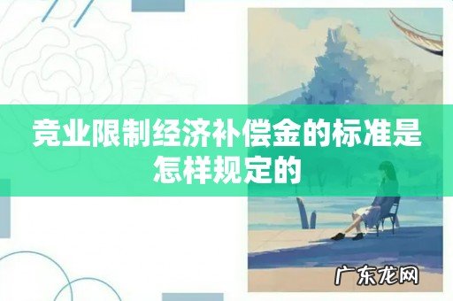 竞业限制经济补偿金的标准是怎样规定的