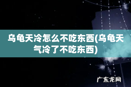 乌龟天气冷了不吃东西 乌龟天冷怎么不吃东西