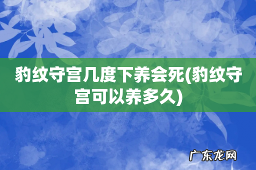 豹纹守宫可以养多久 豹纹守宫几度下养会死