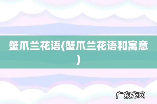 蟹爪兰花语和寓意 蟹爪兰花语