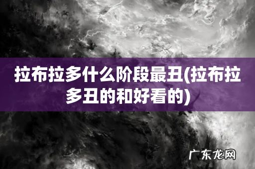 拉布拉多丑的和好看的 拉布拉多什么阶段最丑