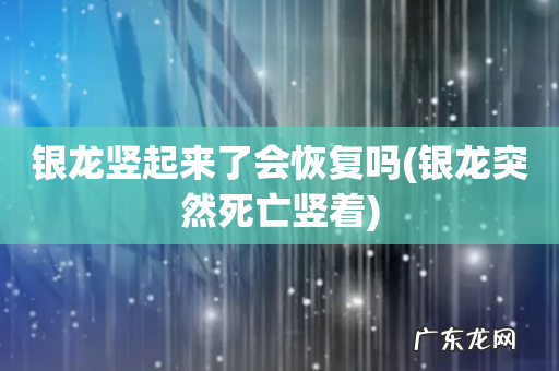 银龙突然死亡竖着 银龙竖起来了会恢复吗
