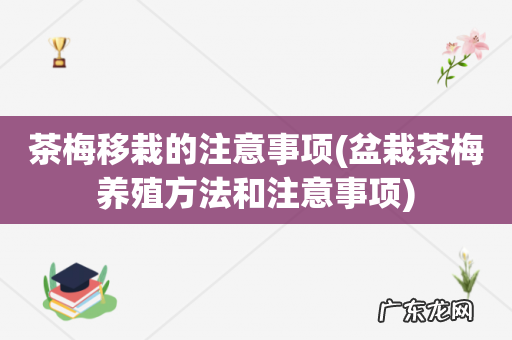 盆栽茶梅养殖方法和注意事项 茶梅移栽的注意事项