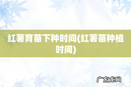 红薯苗种植时间 红薯育苗下种时间