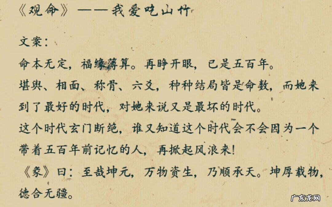 灵异风水 求好看的玄学风水灵异小说