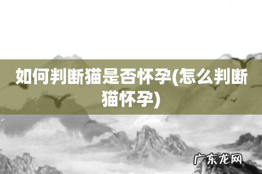 怎么判断猫怀孕 如何判断猫是否怀孕