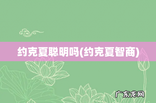 约克夏智商 约克夏聪明吗