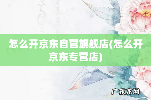 怎么开京东专营店 怎么开京东自营旗舰店