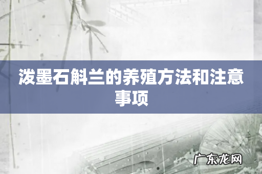 泼墨石斛兰的养殖方法和注意事项