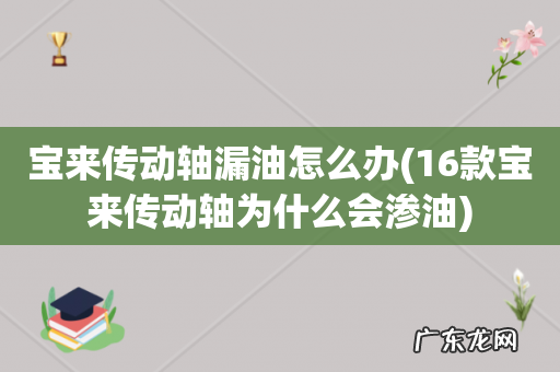 16款宝来传动轴为什么会渗油 宝来传动轴漏油怎么办