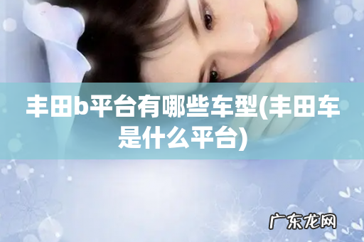 丰田车是什么平台 丰田b平台有哪些车型