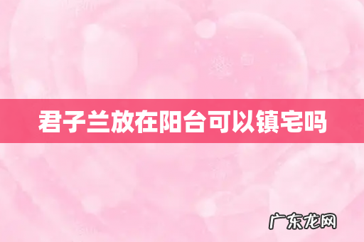 君子兰放在阳台可以镇宅吗