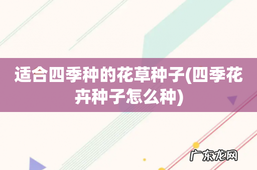 四季花卉种子怎么种 适合四季种的花草种子