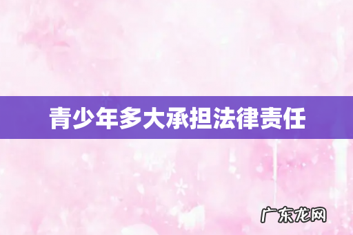 青少年多大承担法律责任