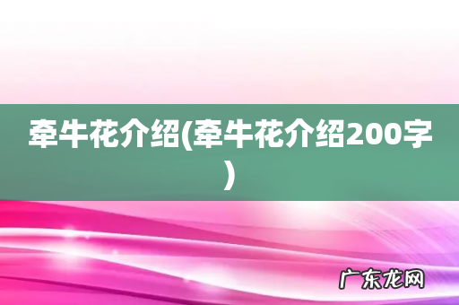 牵牛花介绍200字 牵牛花介绍