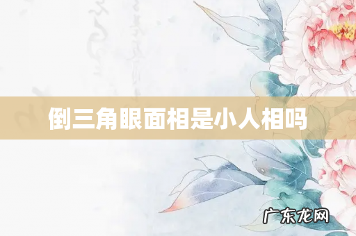 倒三角眼面相是小人相吗