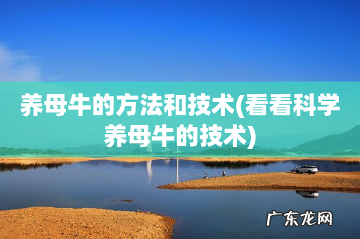 看看科学养母牛的技术 养母牛的方法和技术