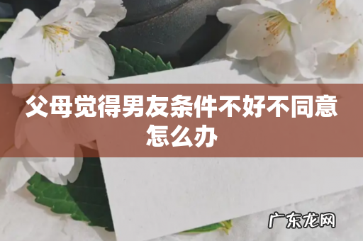 父母觉得男友条件不好不同意怎么办