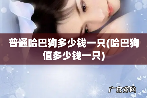哈巴狗值多少钱一只 普通哈巴狗多少钱一只