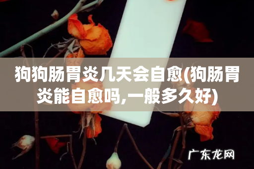 狗肠胃炎能自愈吗,一般多久好 狗狗肠胃炎几天会自愈