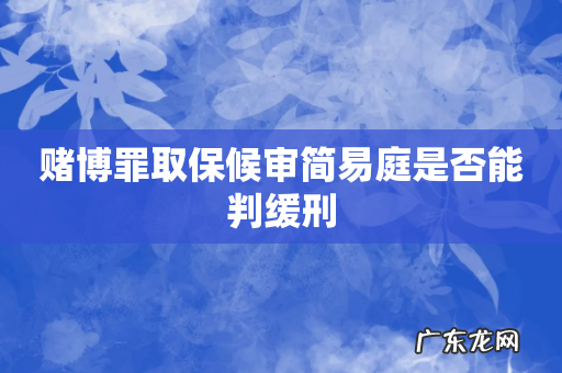 赌博罪取保候审简易庭是否能判缓刑