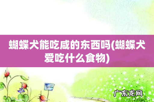 蝴蝶犬爱吃什么食物 蝴蝶犬能吃咸的东西吗