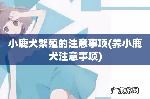 养小鹿犬注意事项 小鹿犬繁殖的注意事项