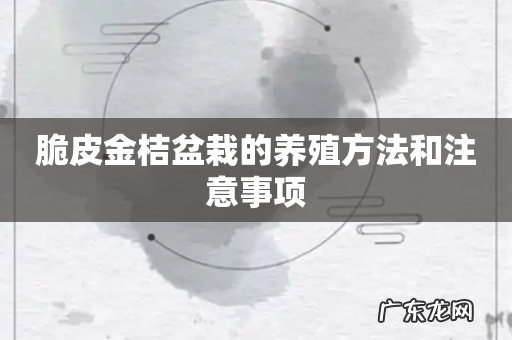 脆皮金桔盆栽的养殖方法和注意事项