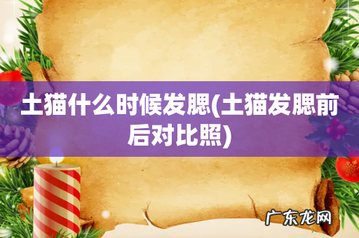 土猫发腮前后对比照 土猫什么时候发腮