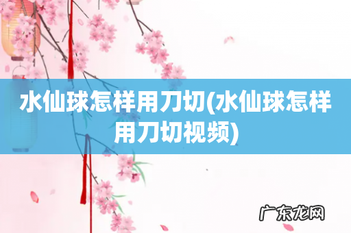 水仙球怎样用刀切视频 水仙球怎样用刀切