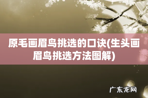 生头画眉鸟挑选方法图解 原毛画眉鸟挑选的口诀