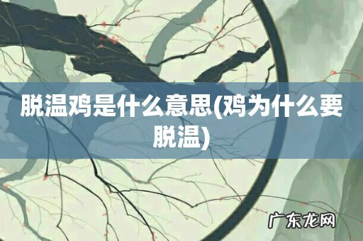 鸡为什么要脱温 脱温鸡是什么意思