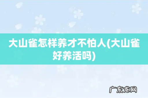大山雀好养活吗 大山雀怎样养才不怕人