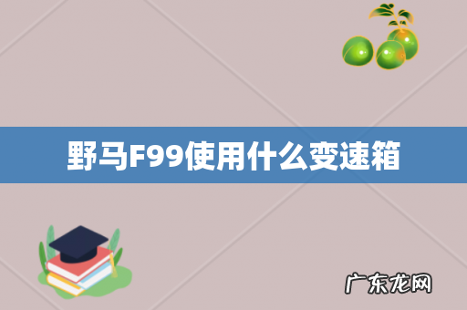 野马F99使用什么变速箱