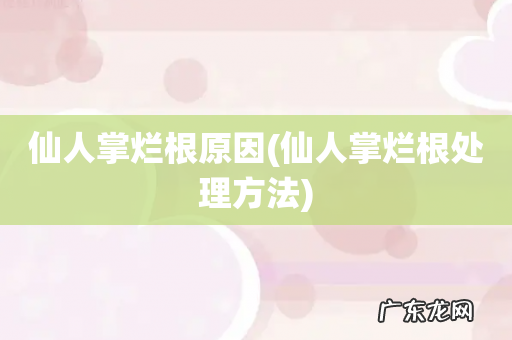 仙人掌烂根处理方法 仙人掌烂根原因