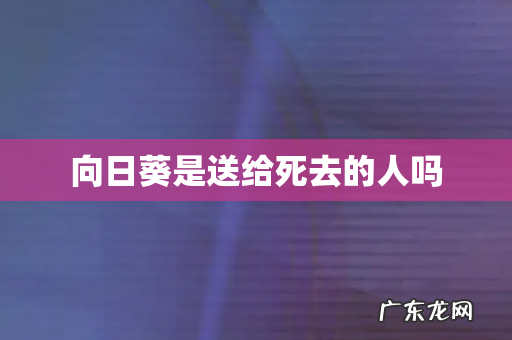 向日葵是送给死去的人吗