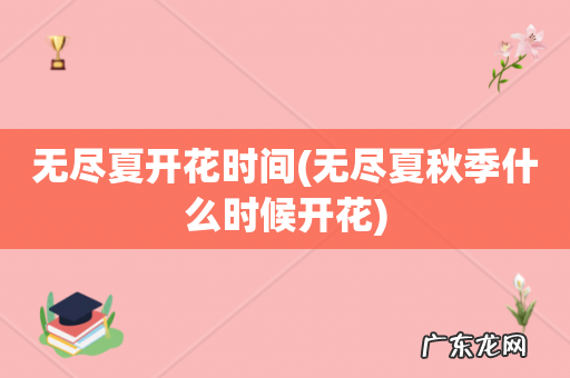 无尽夏秋季什么时候开花 无尽夏开花时间